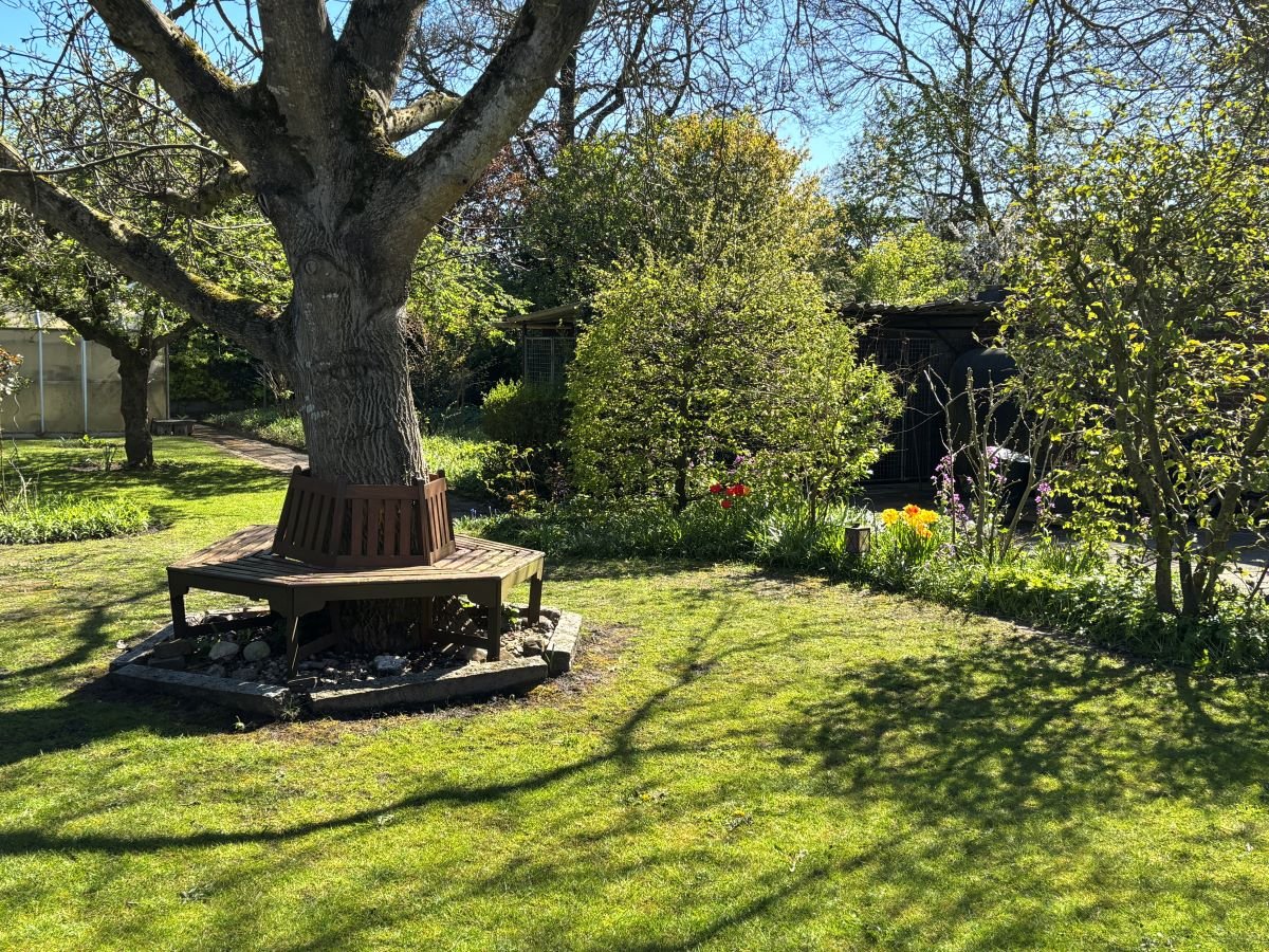 Garten Garten
