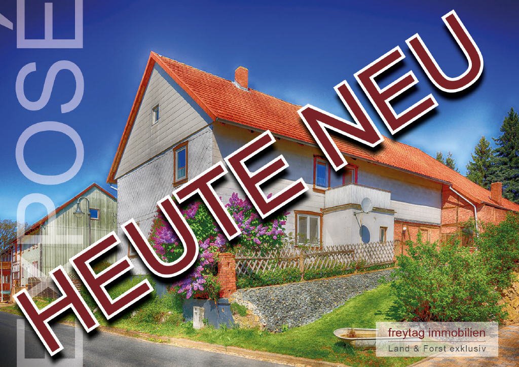 Bild1 Bild1