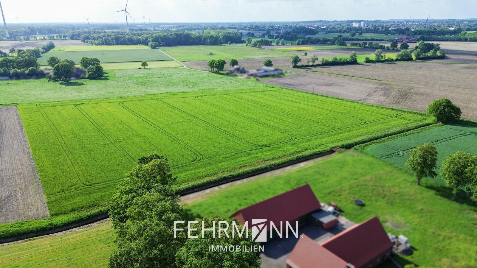 Luftaufnahme-1