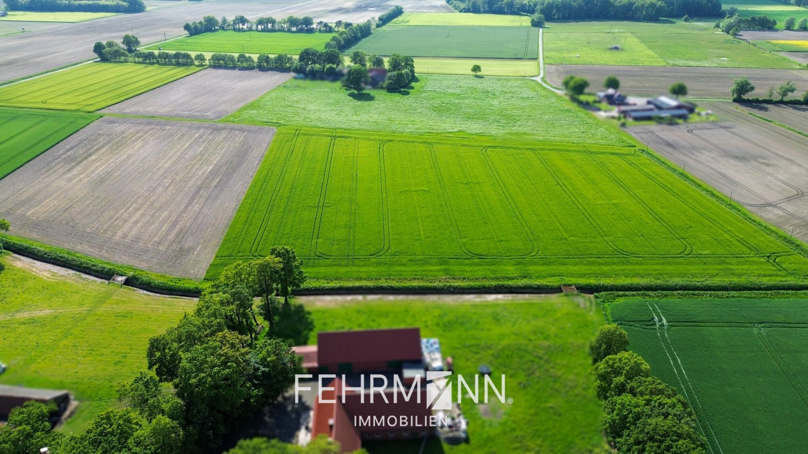 Luftaufnahme-2