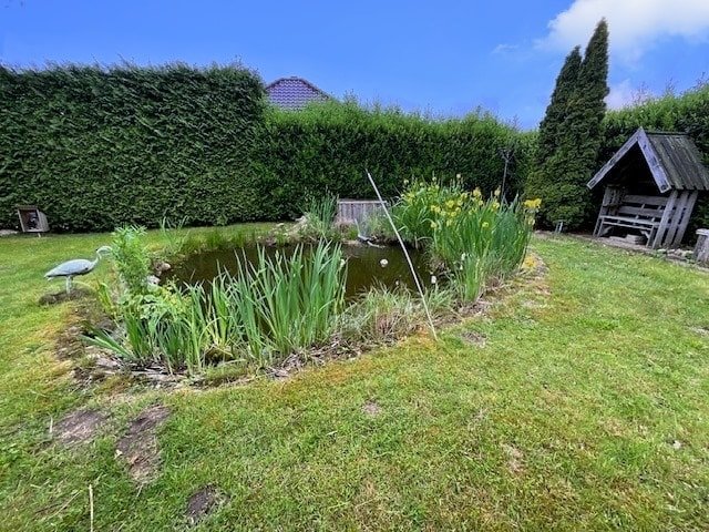 Garten mit Fischteich