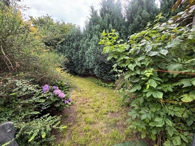 Garten Garten