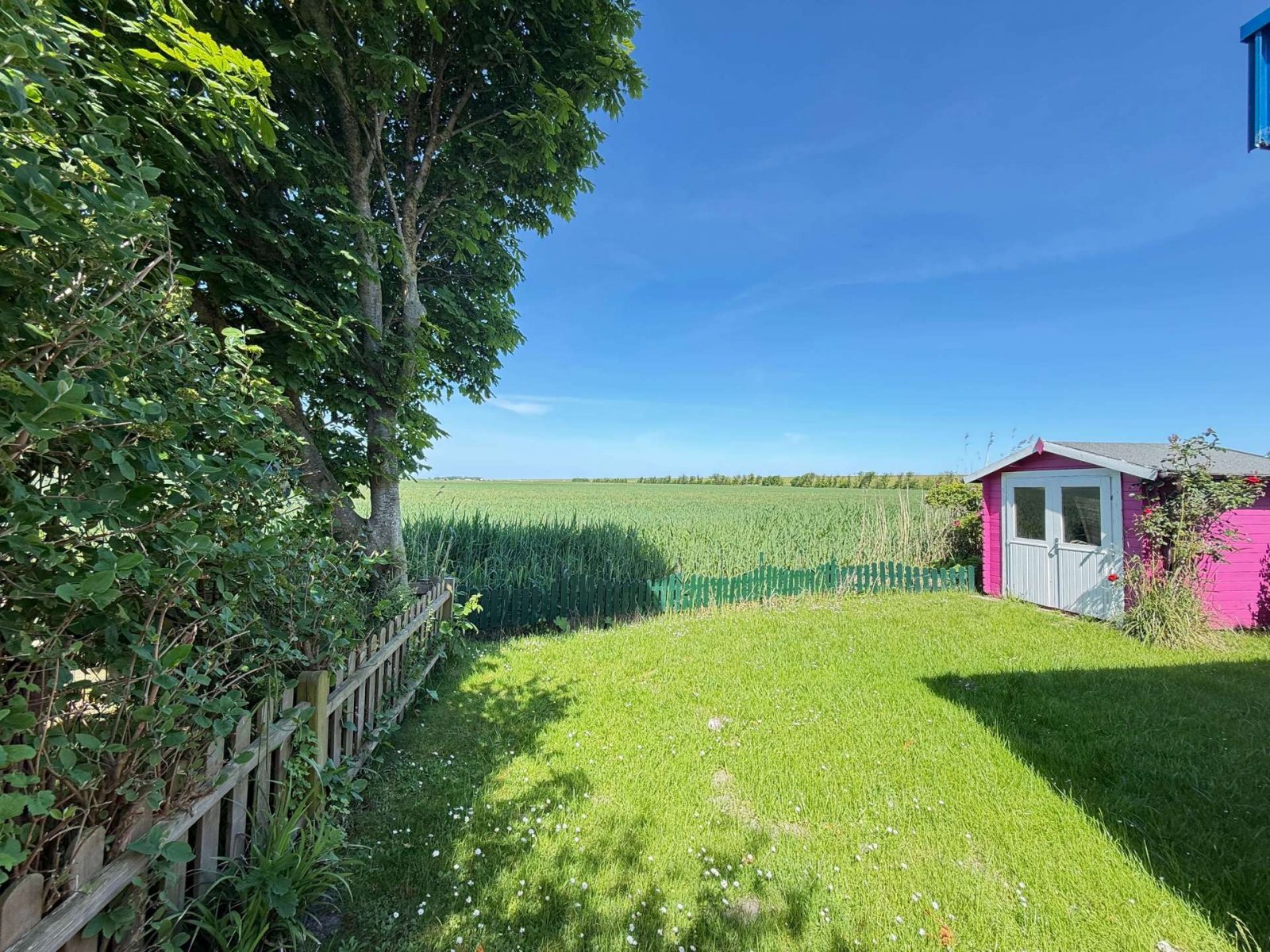Garten mit Gartenhütte