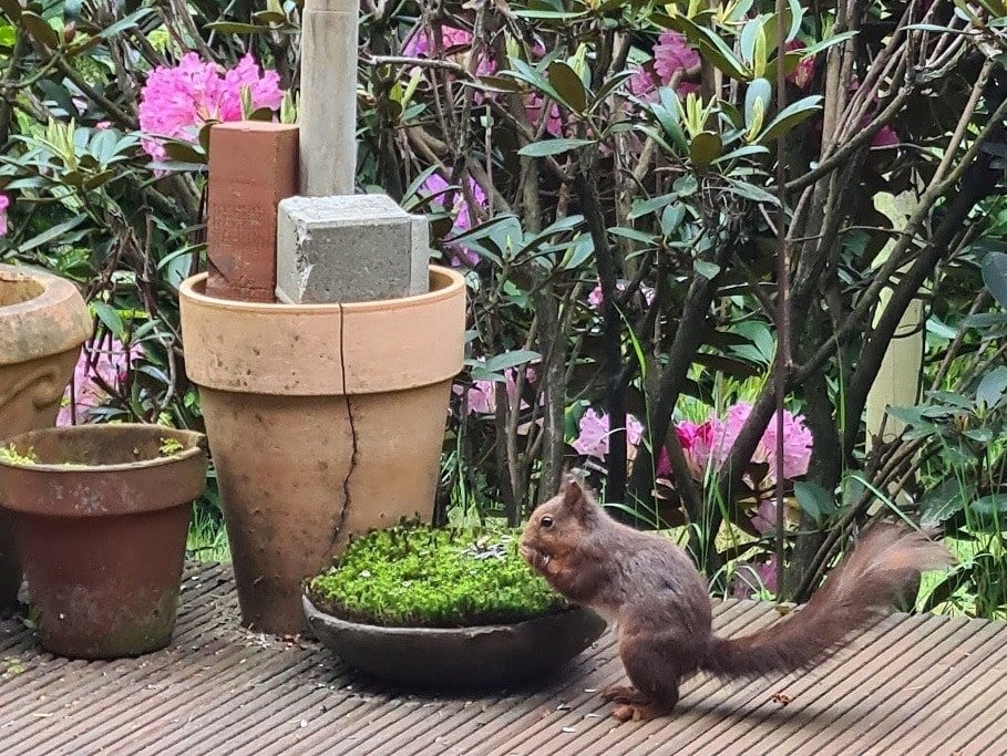 Garten