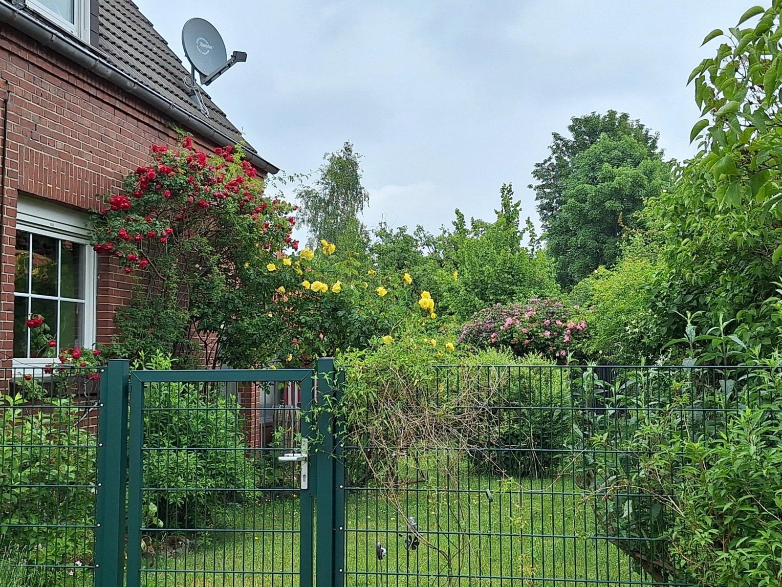 Seite/Gartenansicht