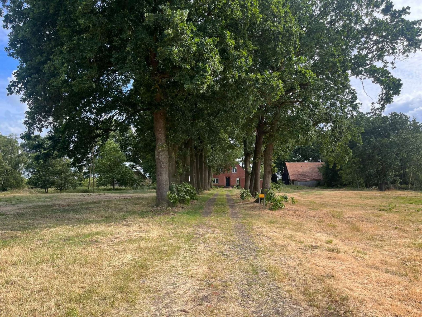 Grünflächen