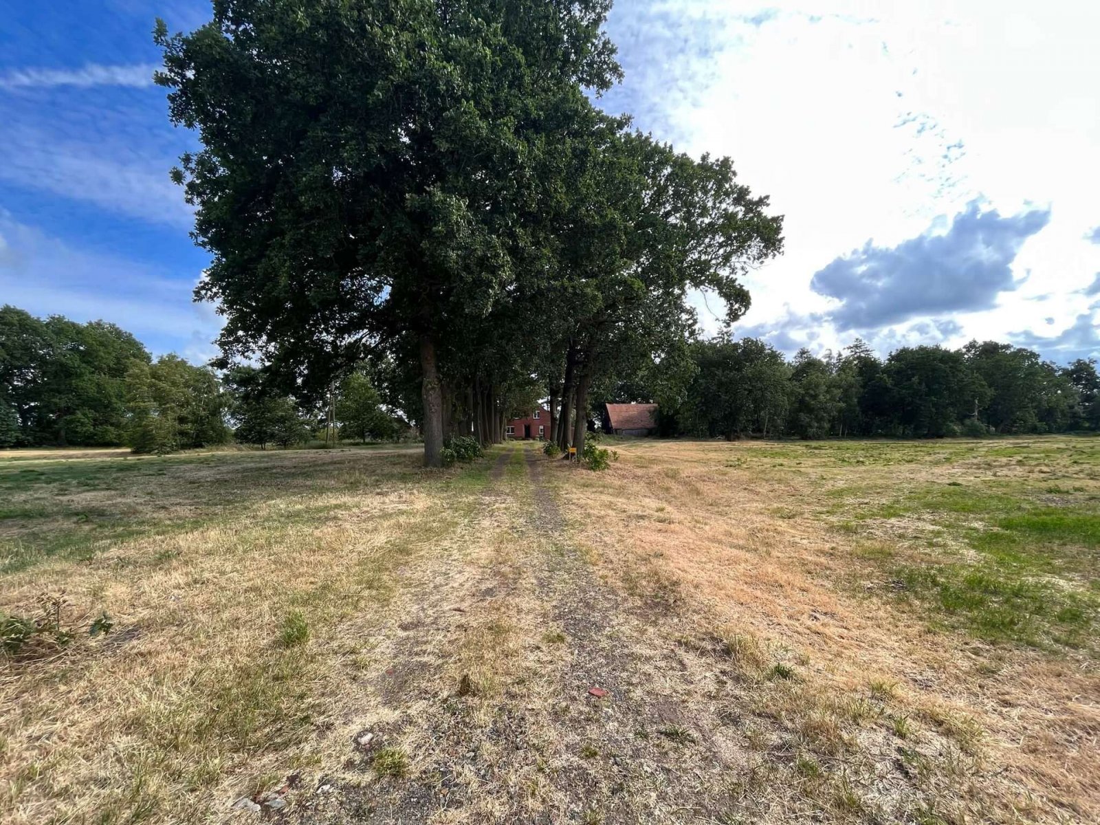 Grünflächen