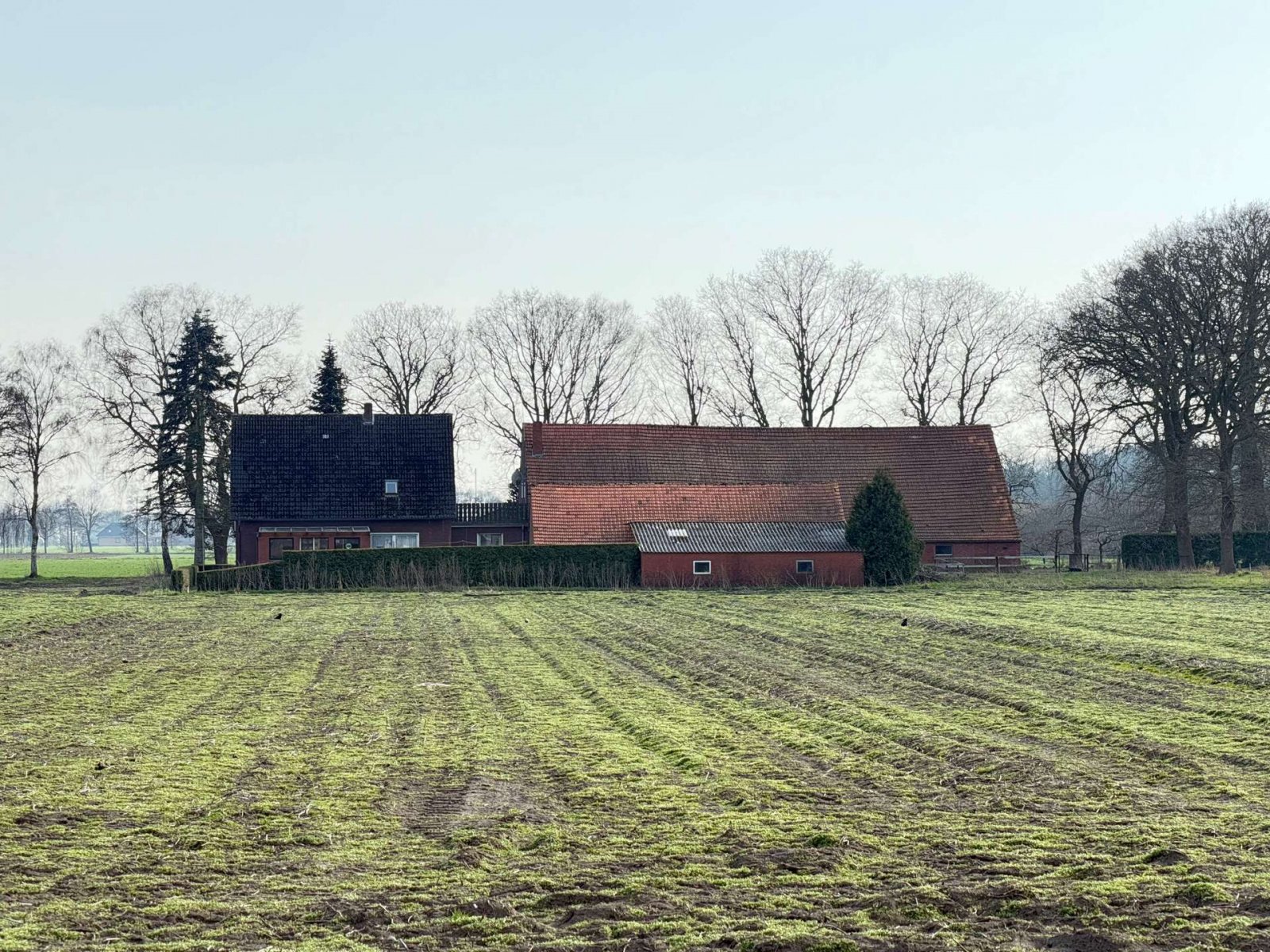 Hausansicht Hausansicht