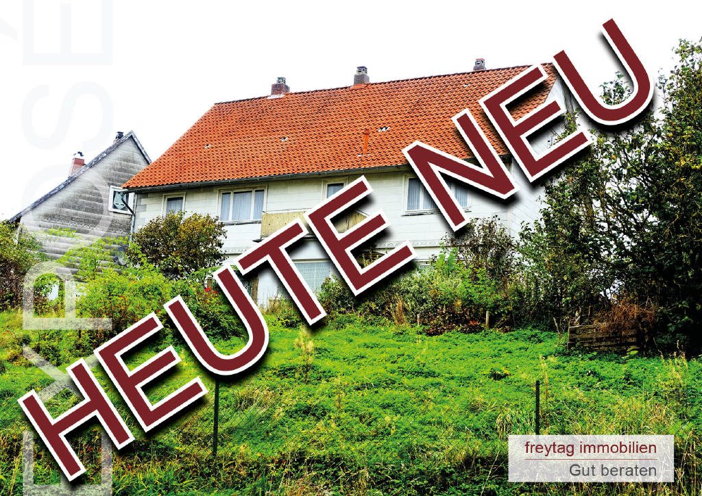 Bild1 Bild1
