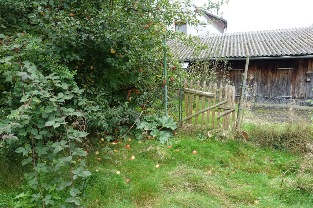 Bild11 Bild11