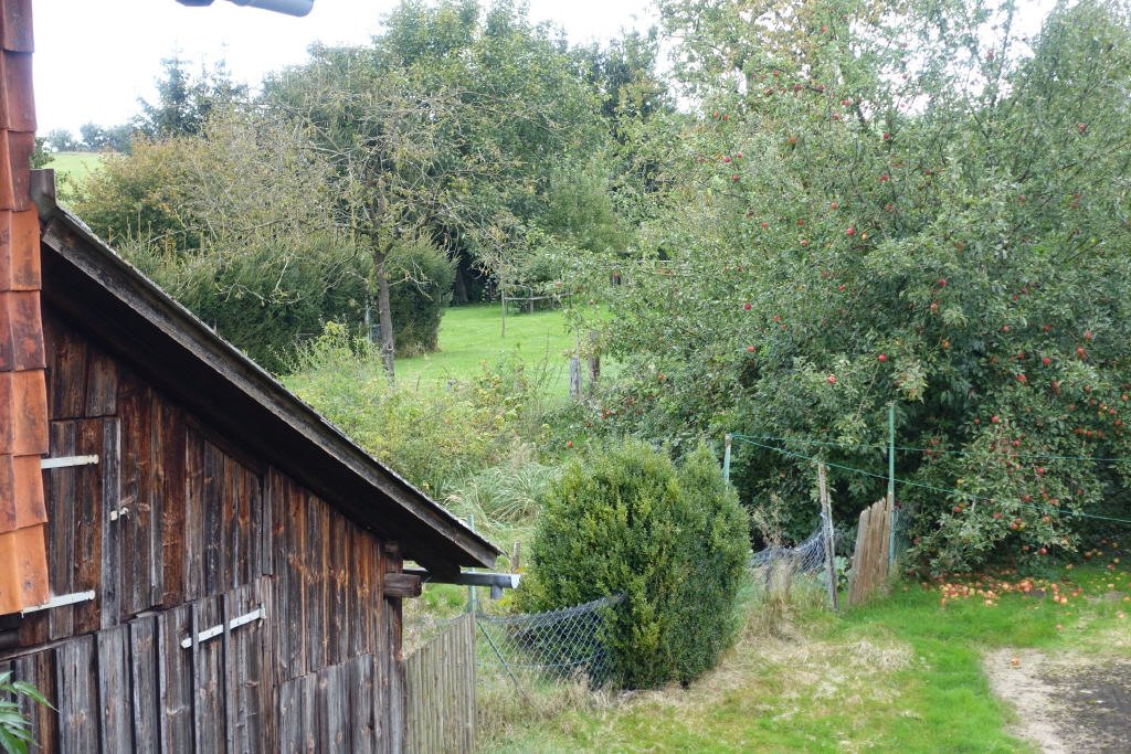 Bild15 Bild15