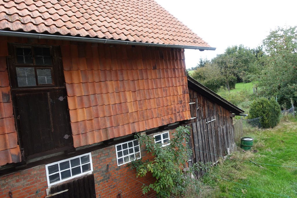 Bild18 Bild18