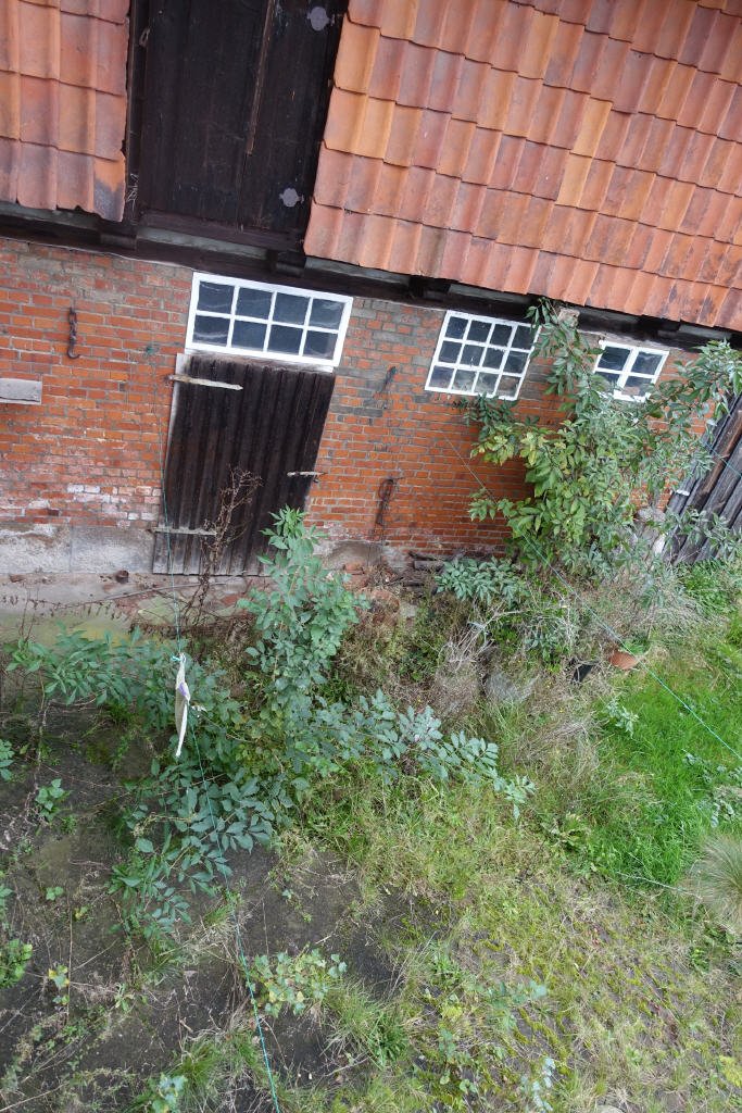 Bild19 Bild19