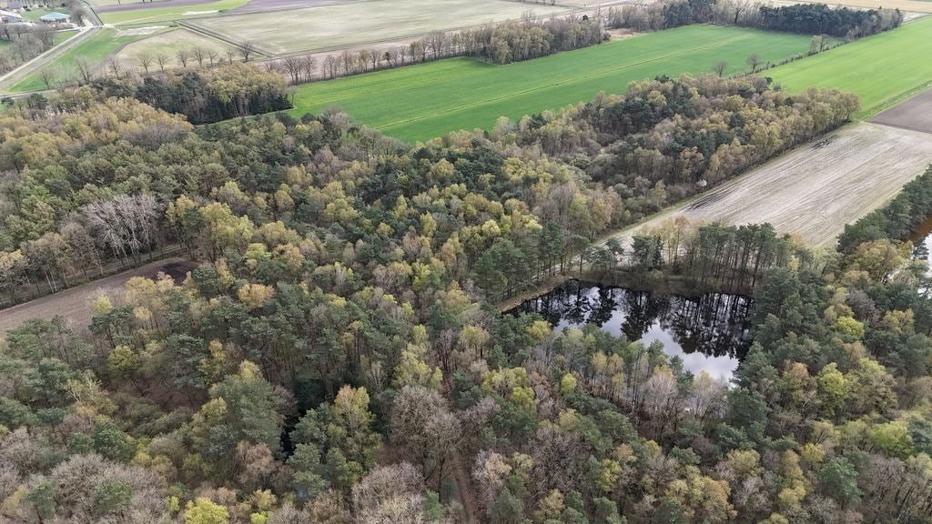 Bad Bentheim: Gebotsverfahren: Forst- und Ackerflächen in Gildehaus - An Hellehornsmaaten 