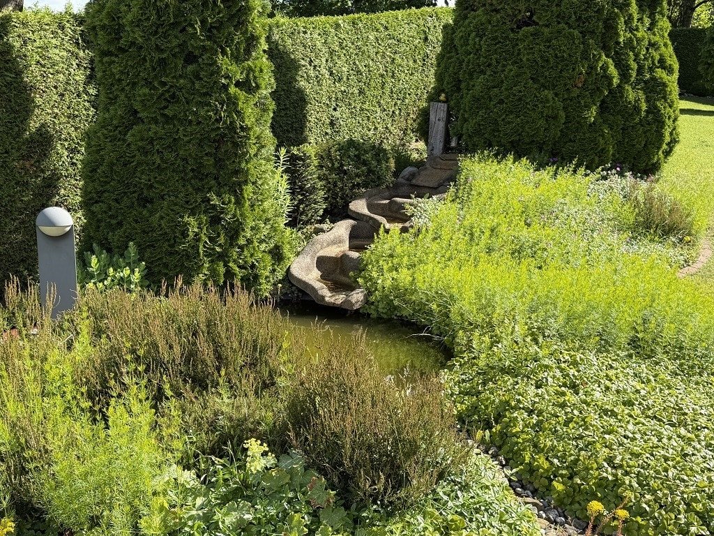 Garten Detailansicht