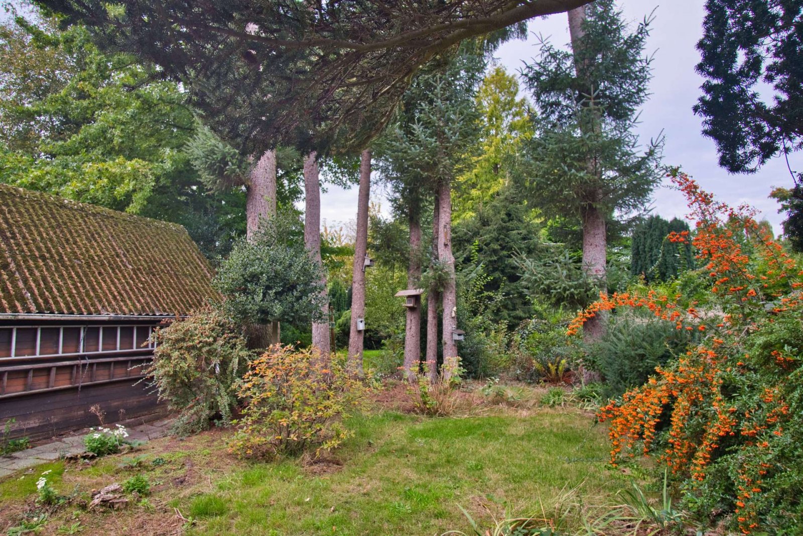 Garten Garten