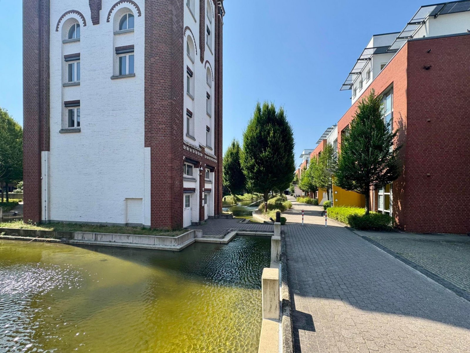 seitliche Ansicht seitliche Ansicht