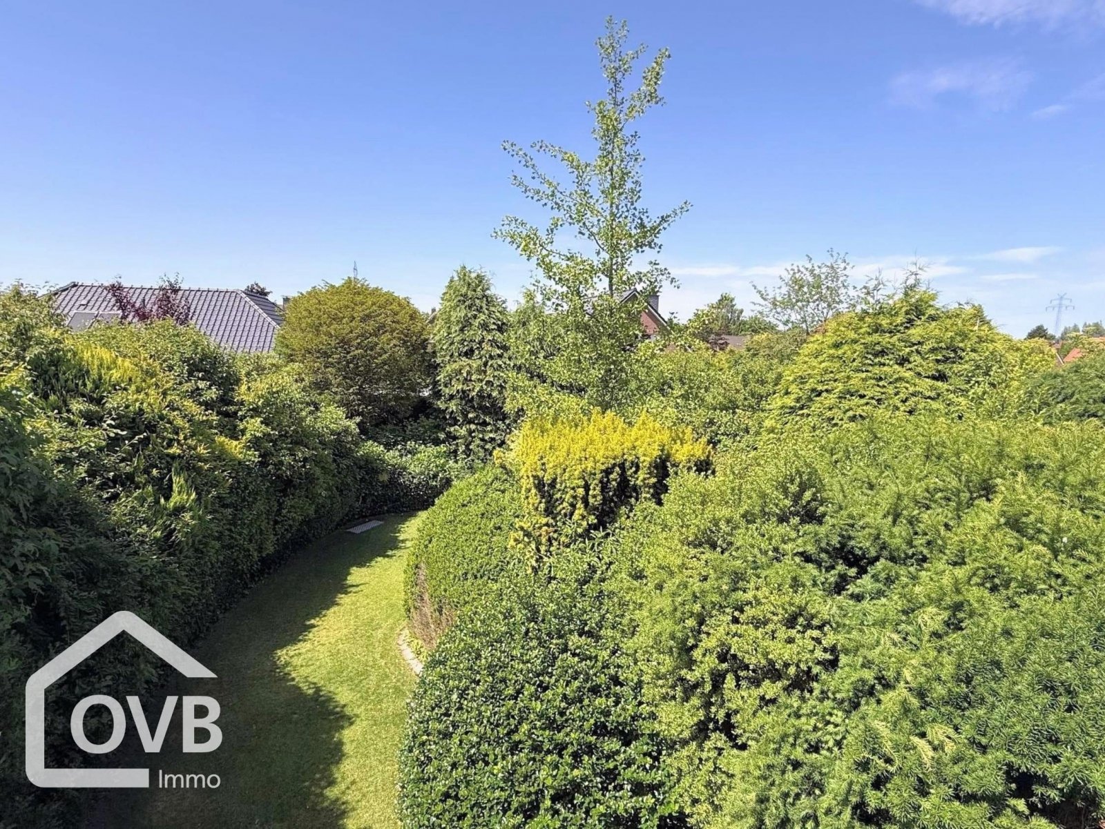 Blick vom Balkon Blick vom Balkon