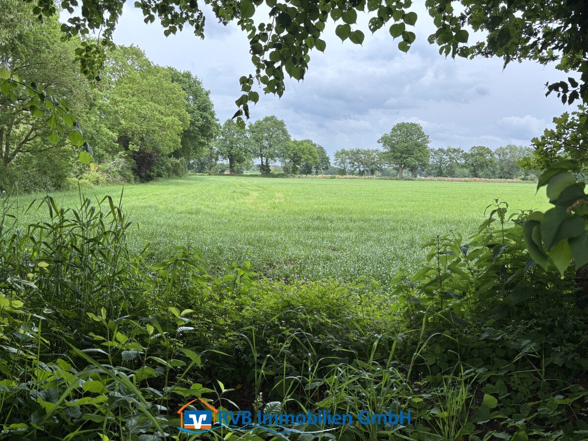 freier Blick vom Garten aus freier Blick vom Garten aus