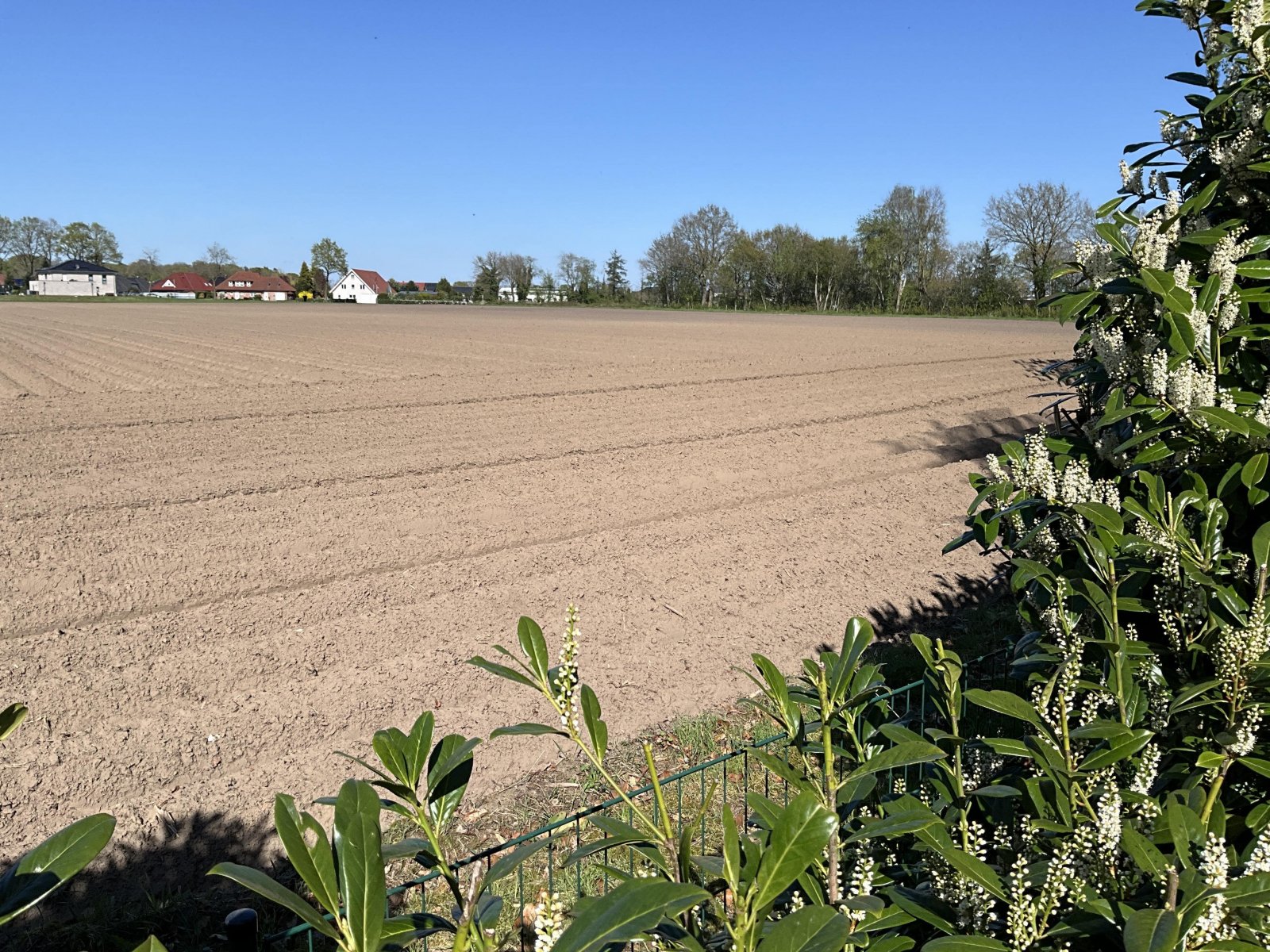 Blick über den Gartenzaun Blick über den Gartenzaun