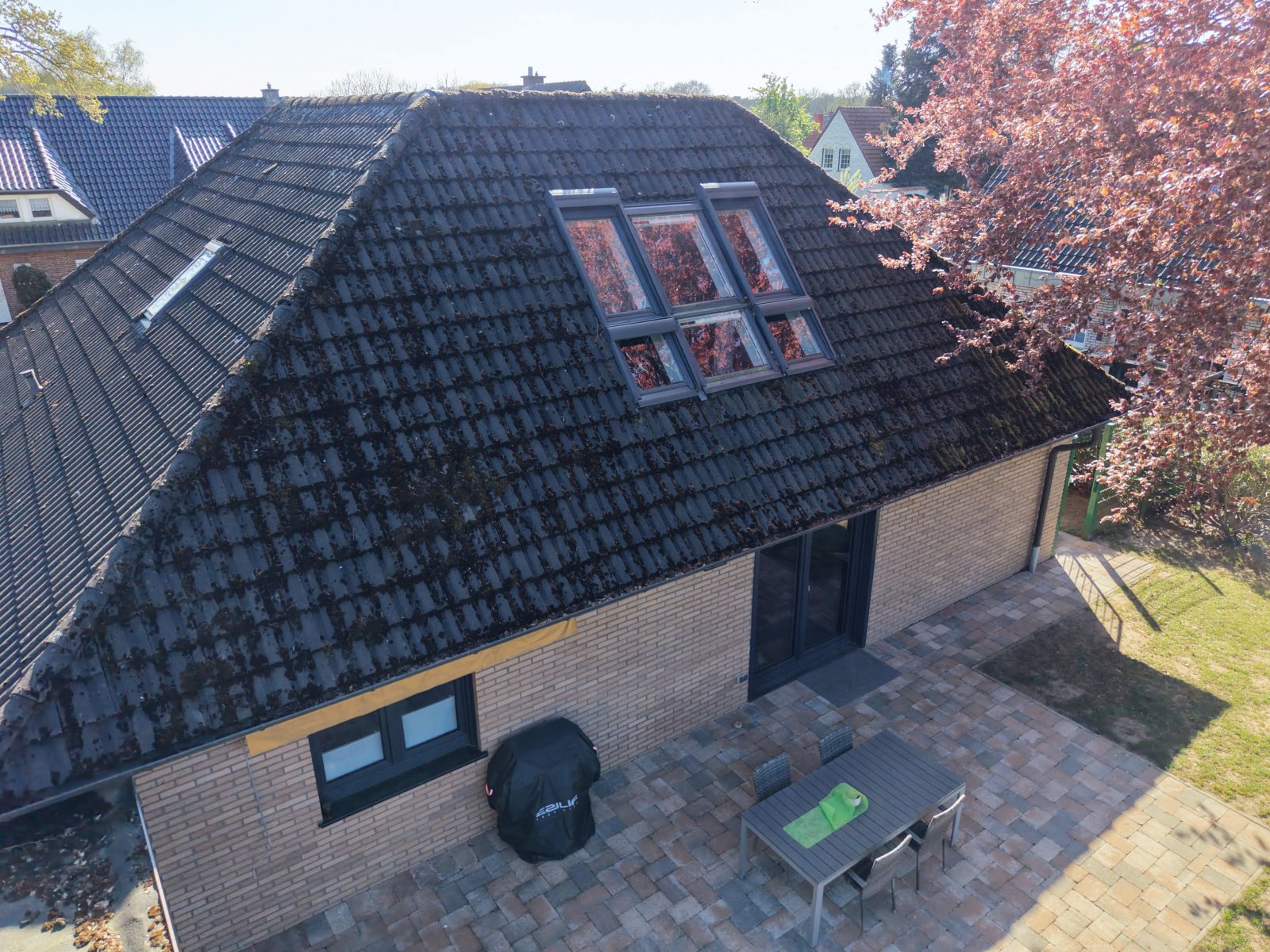 Rückseite Rückseite
