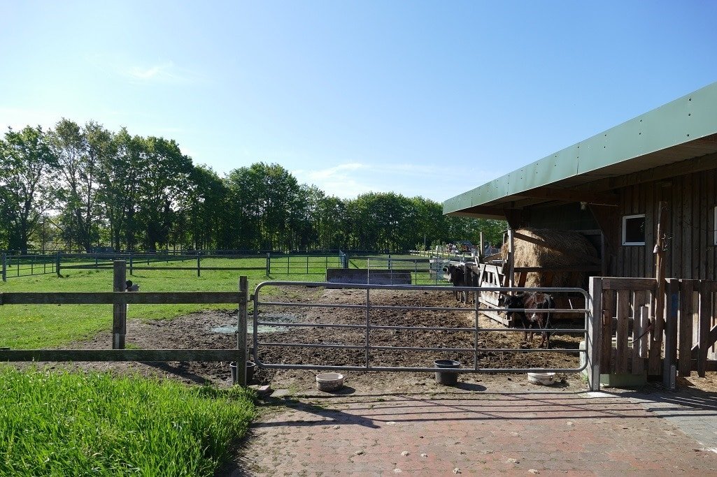 Außenansicht Außenansicht