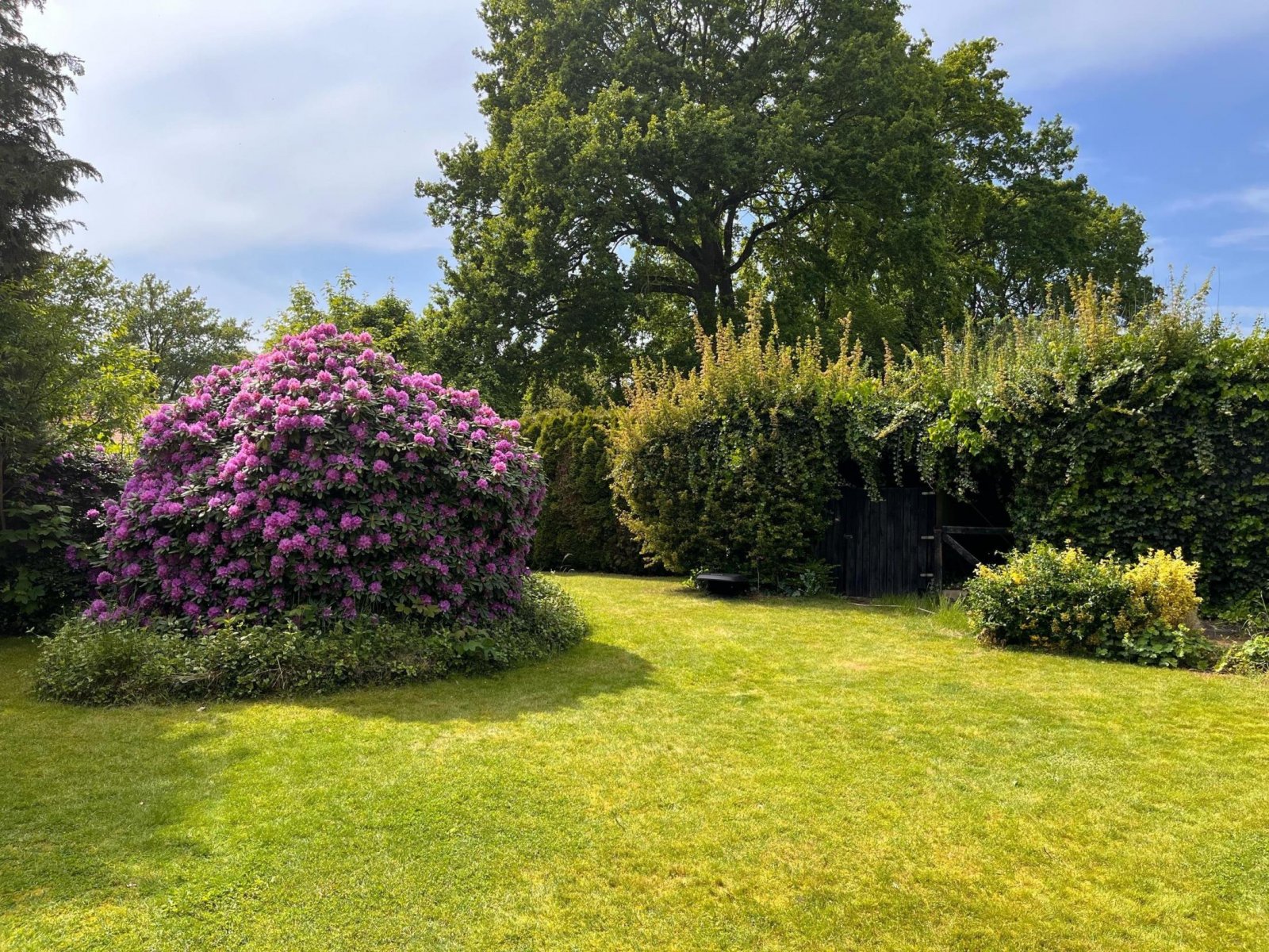 Garten Garten