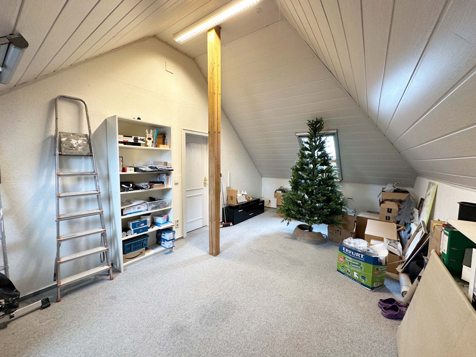 Zimmer DG