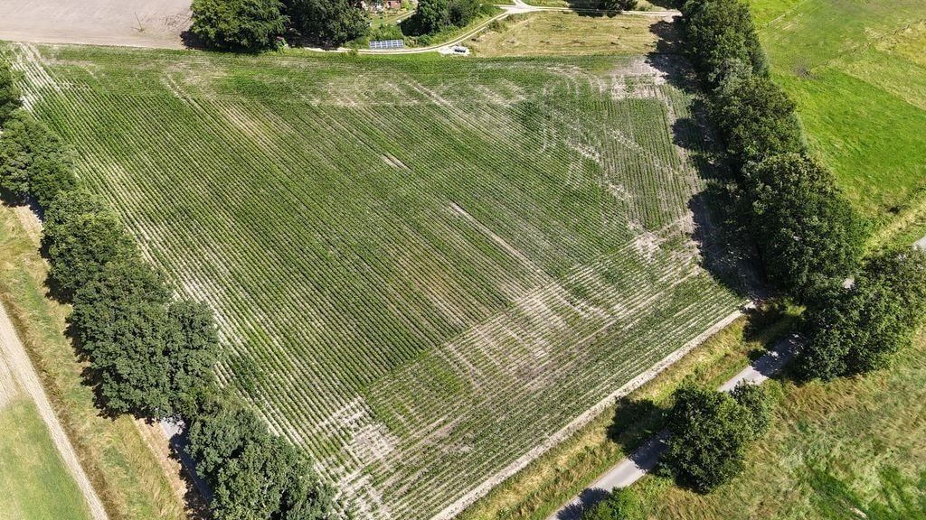 Quendorf: Landwirtschaftliche Flächen in Quendorf gegen Gebot 