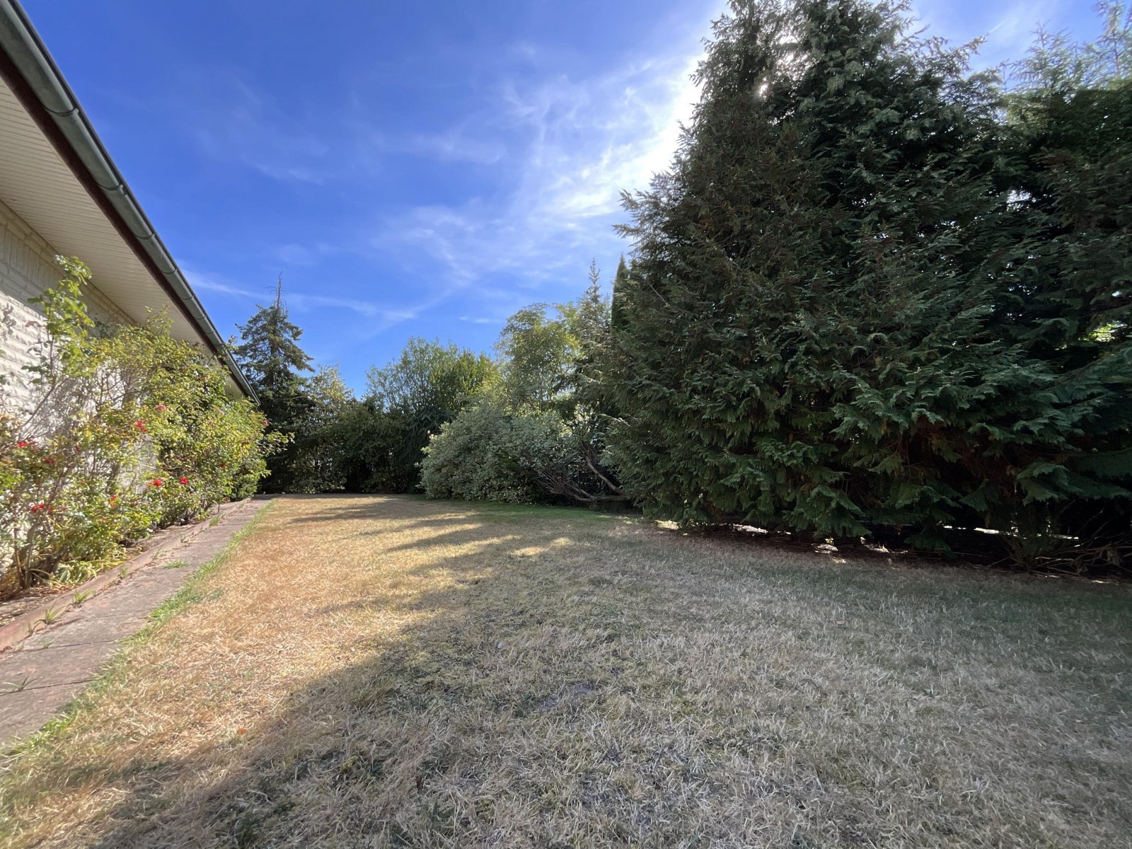 Blick in den Garten