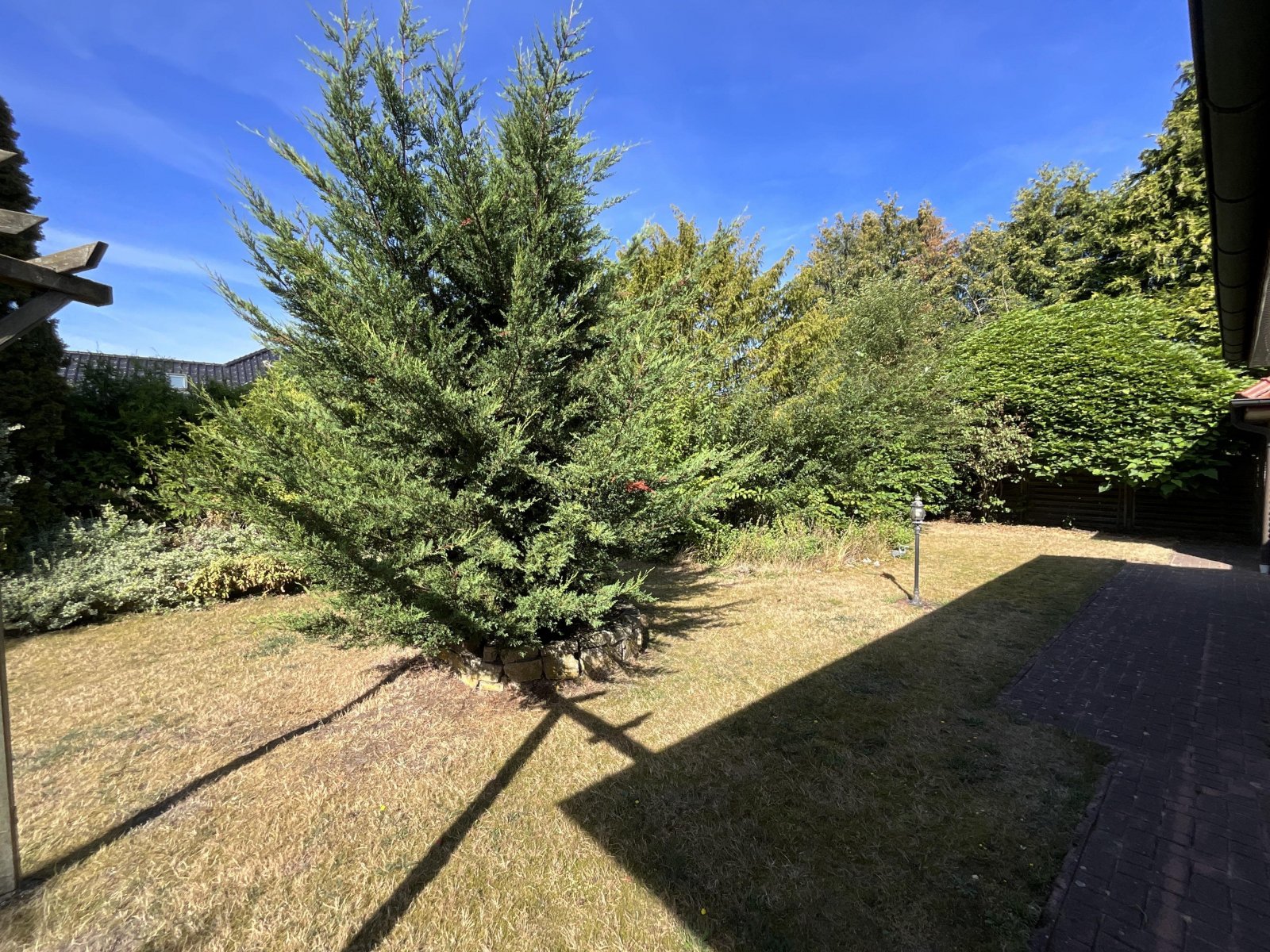 Blick in den Garten