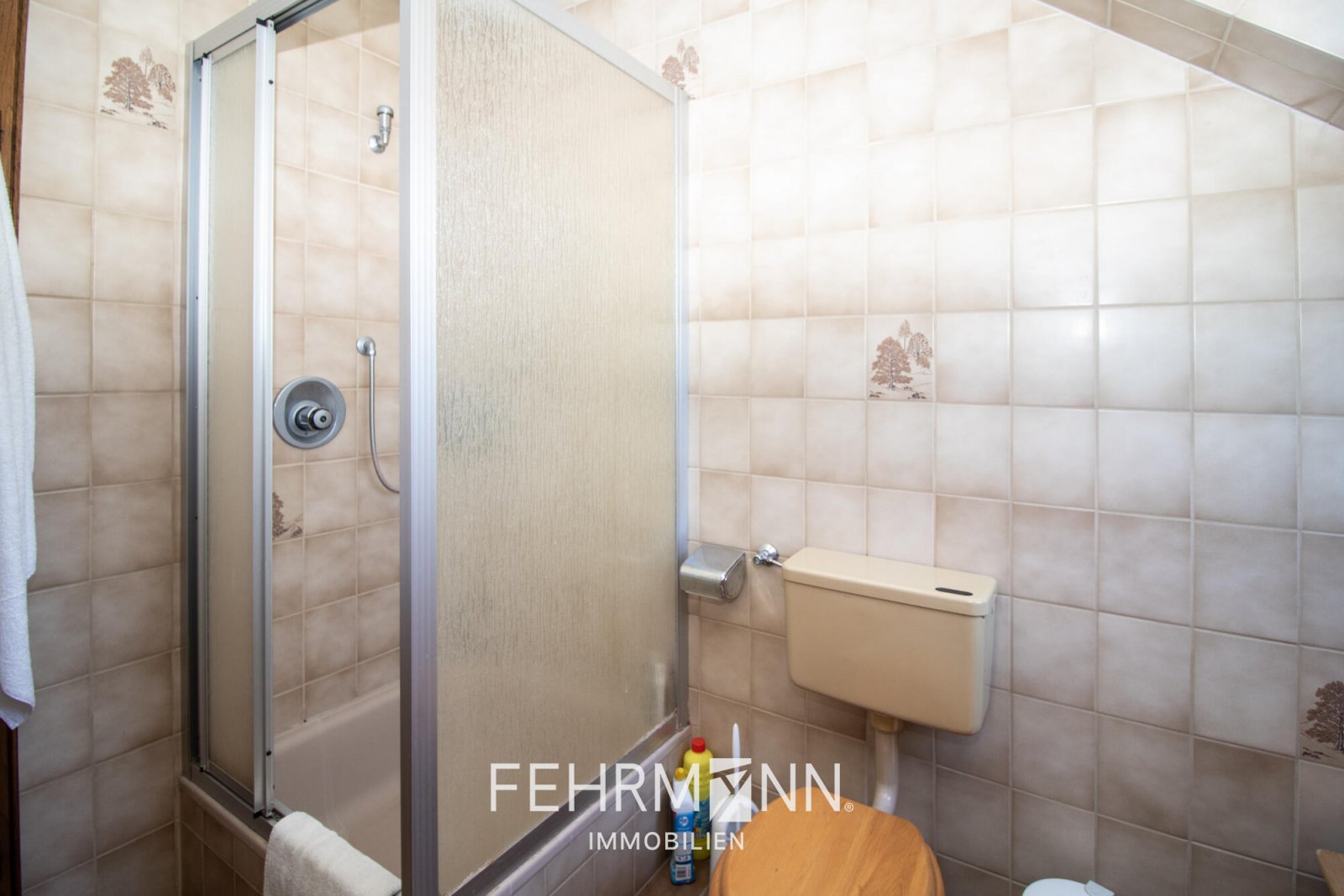 DG-Badezimmer DG-Badezimmer