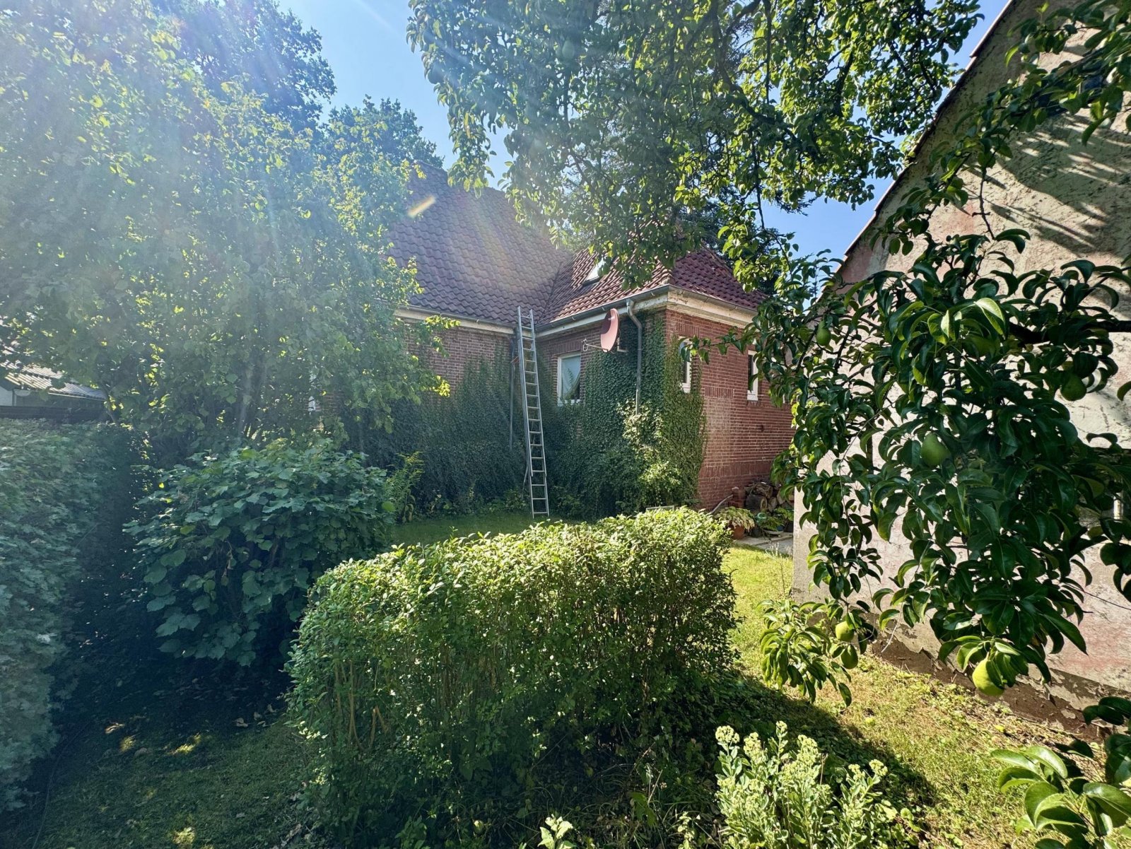 Garten Garten