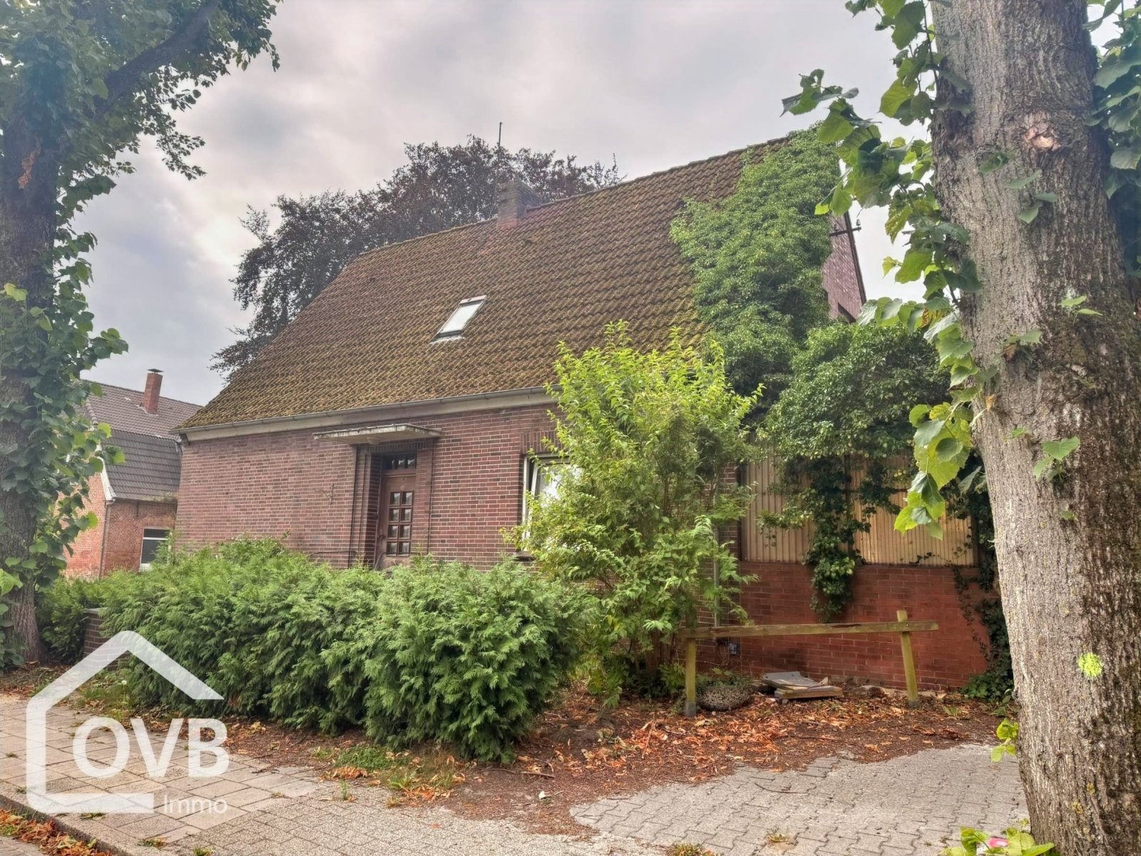 Seitenansicht Seitenansicht