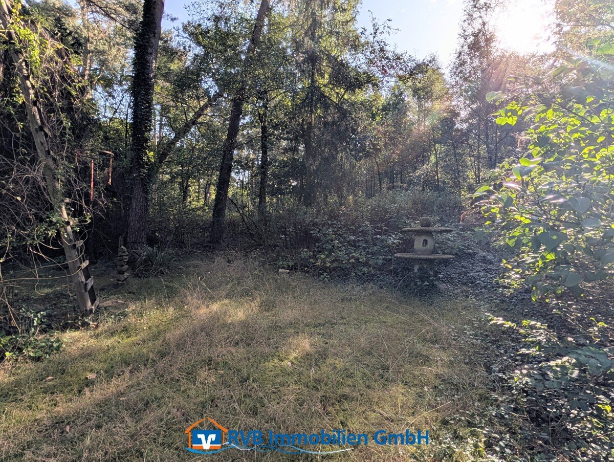 Wohnen in direkter Waldlage Wohnen in direkter Waldlage