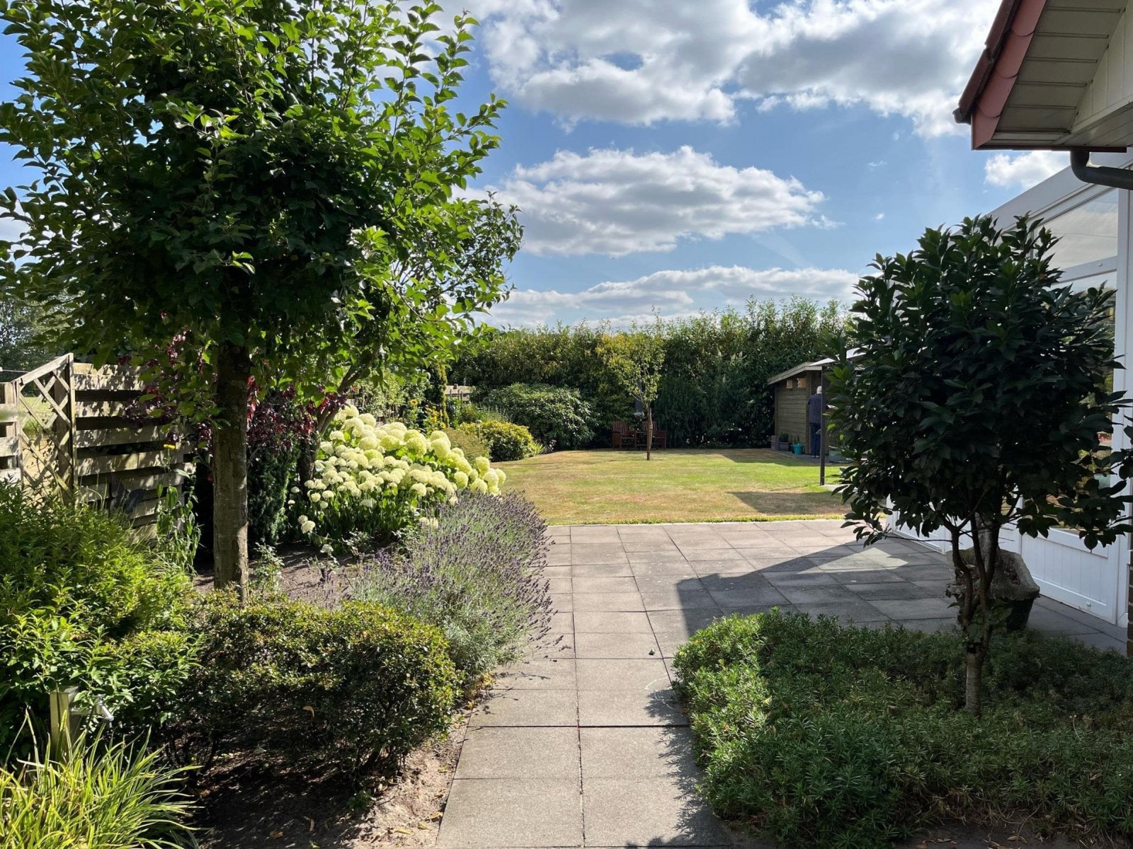 Blick in den Garten