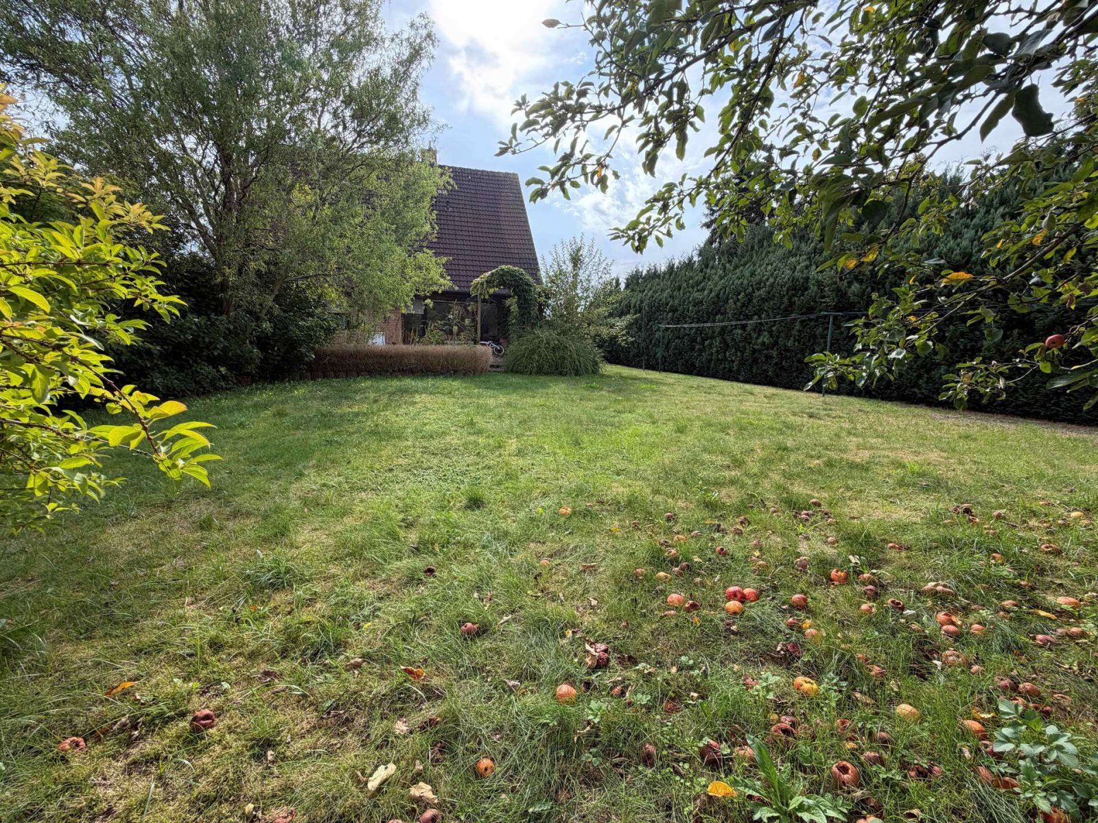 Garten Garten