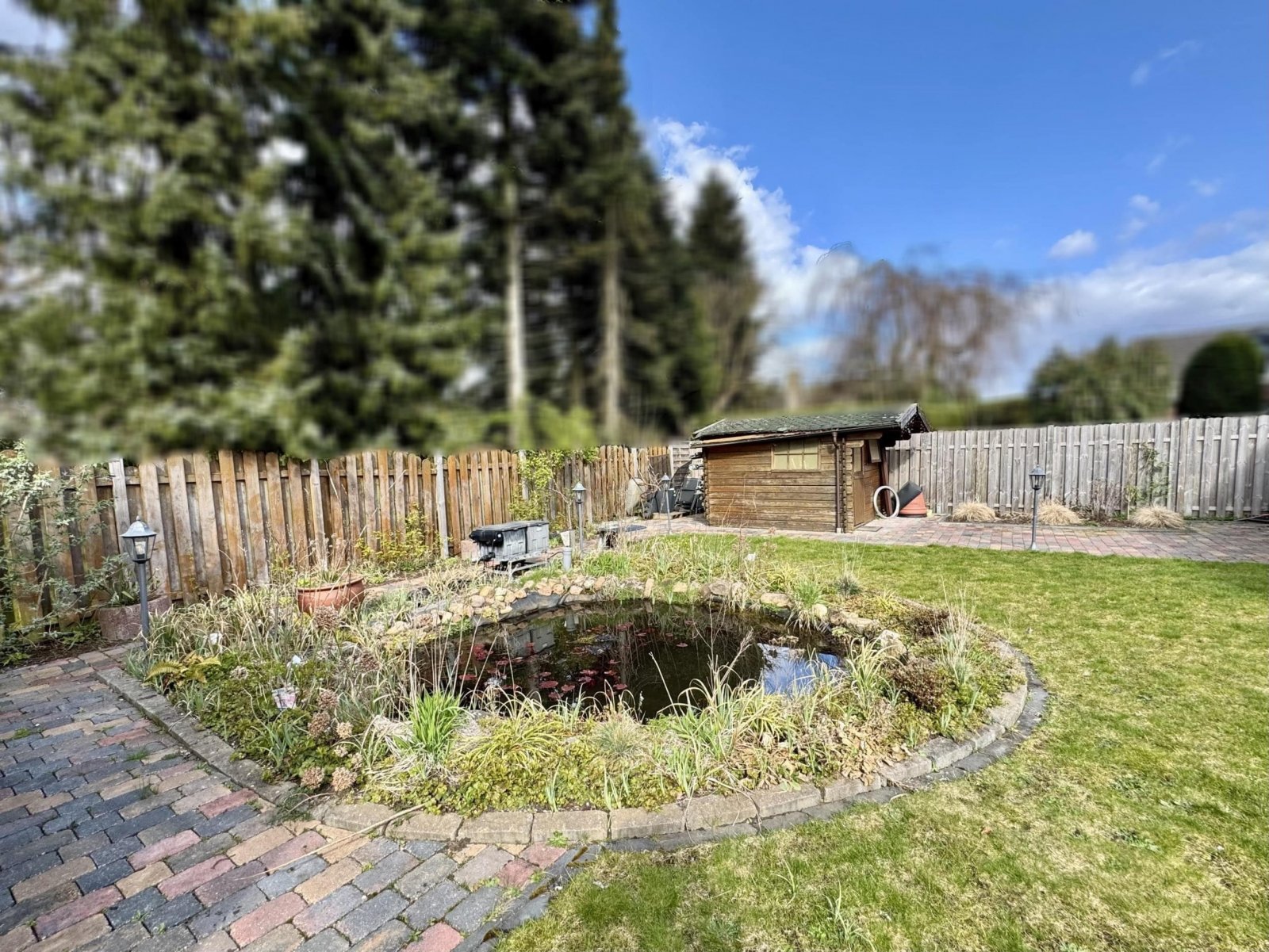 seitlicher Blick in den Garten seitlicher Blick in den Garten