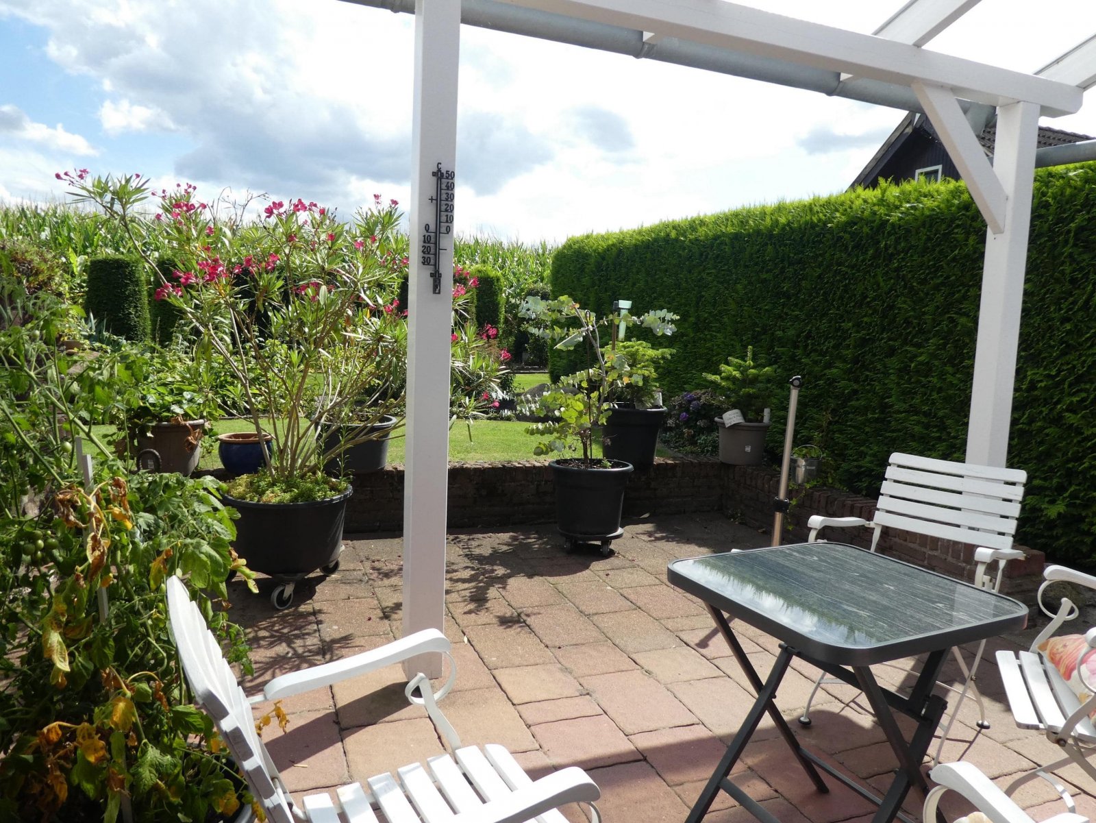 Terrasse Terrasse