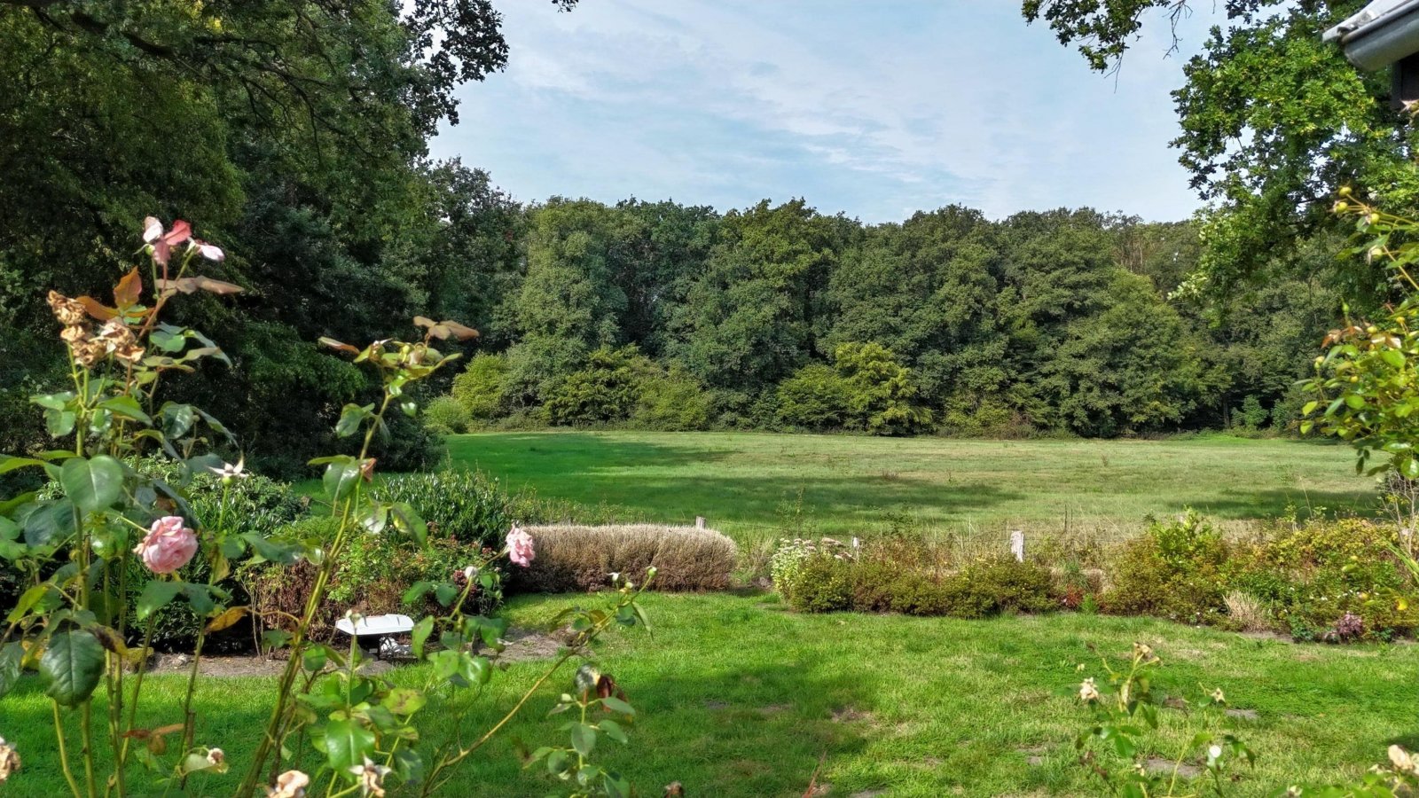 Garten mit Blick in Richtung Bentheimer Wald