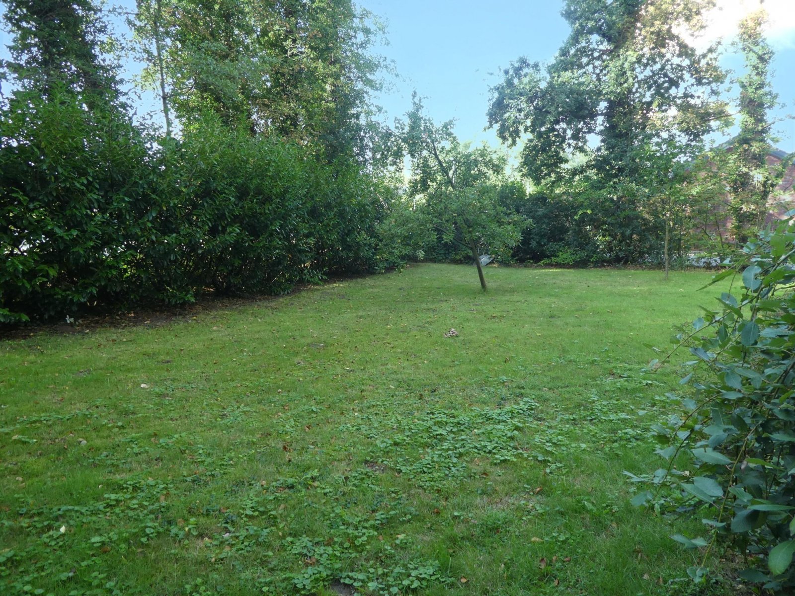Garten Garten