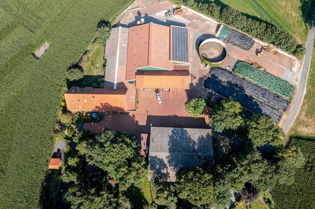 Bad Bentheim: Milchviehbetrieb mit modernem Wohnensemble und Expansionspotenzial in Bad Bentheim Bad Bentheim: Milchviehbetrieb mit modernem Wohnensemble und Expansionspotenzial in Bad Bentheim