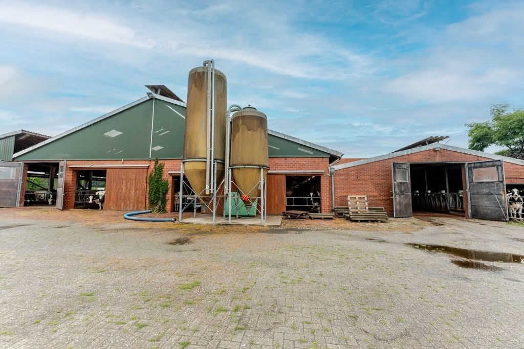 Kuh- und Jungviehstall Kuh- und Jungviehstall