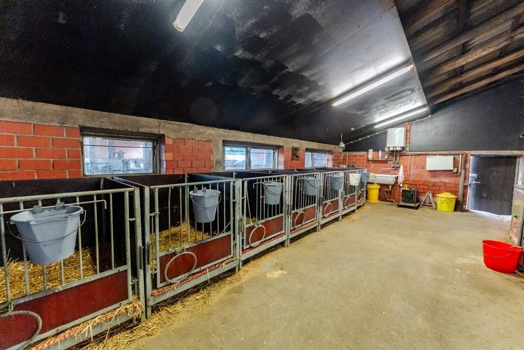 Jungviehstall Jungviehstall