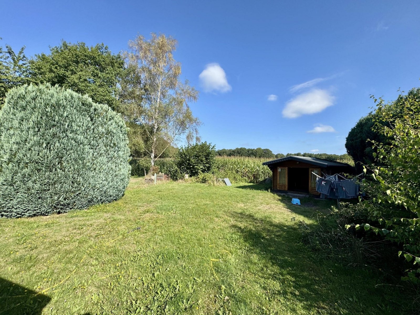 Garten Garten