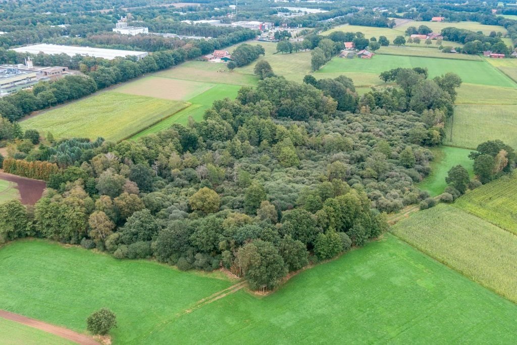 Luftbild Luftbild