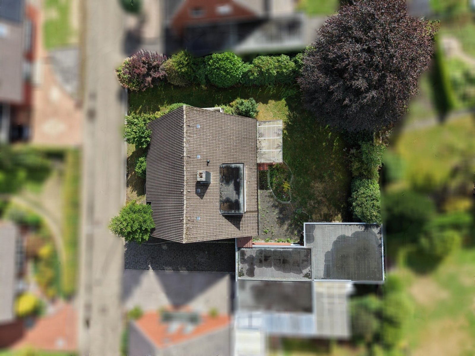 Volgelperspektive Volgelperspektive