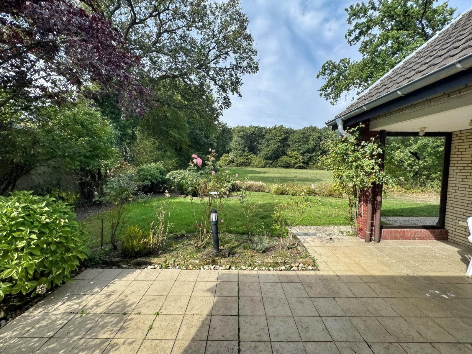 Terrasse und Garten