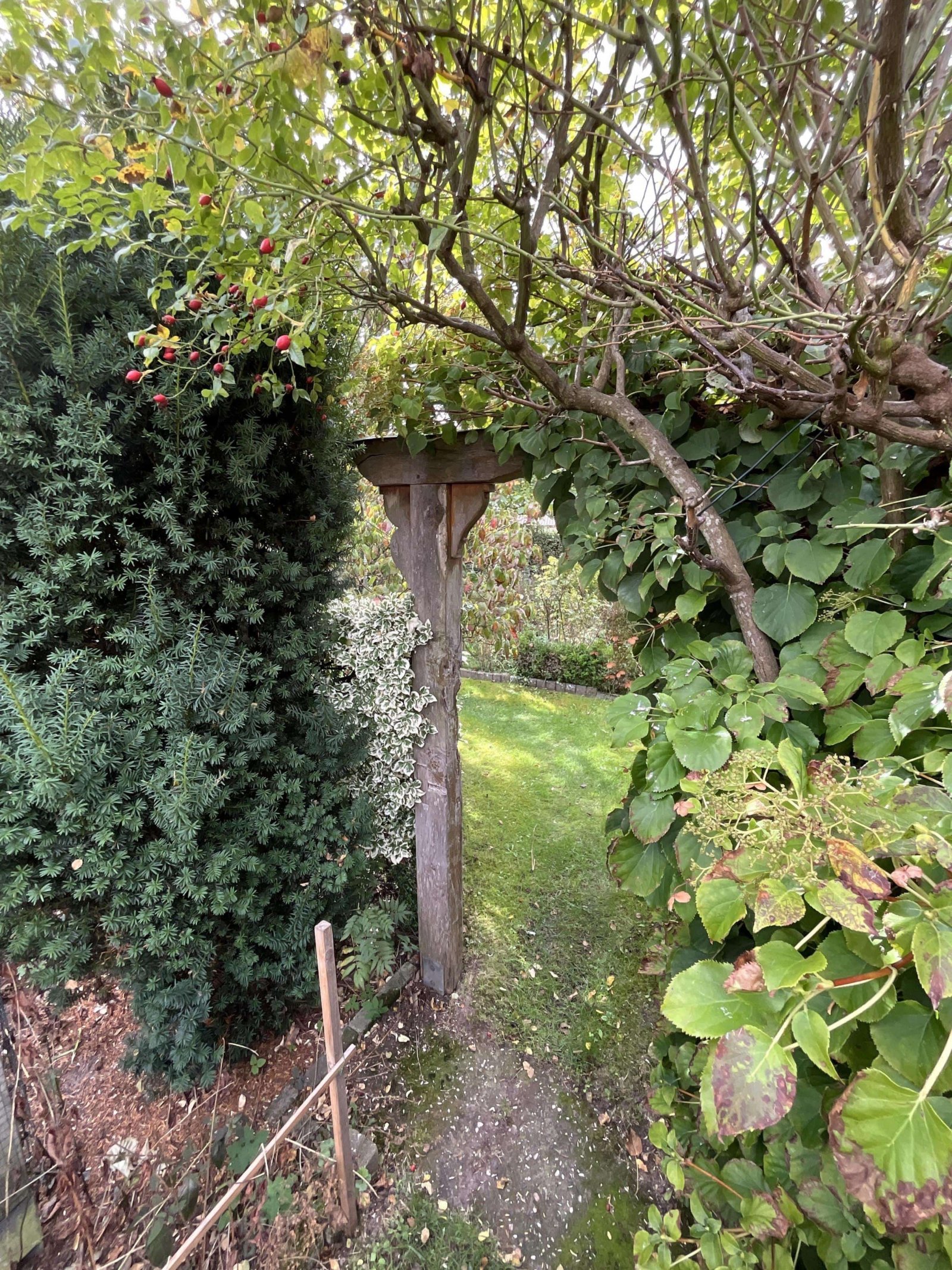 Garten Garten