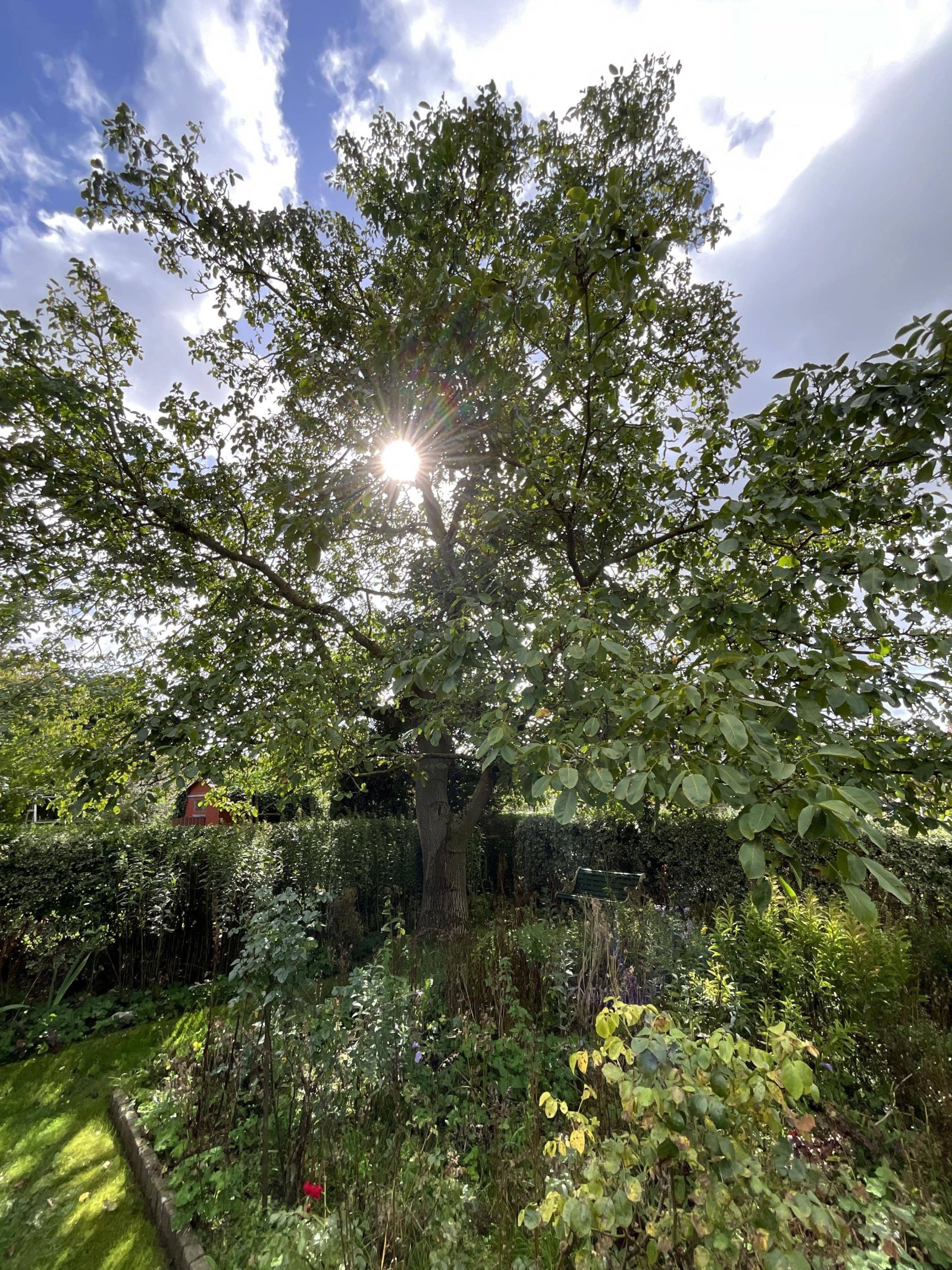 Garten Garten